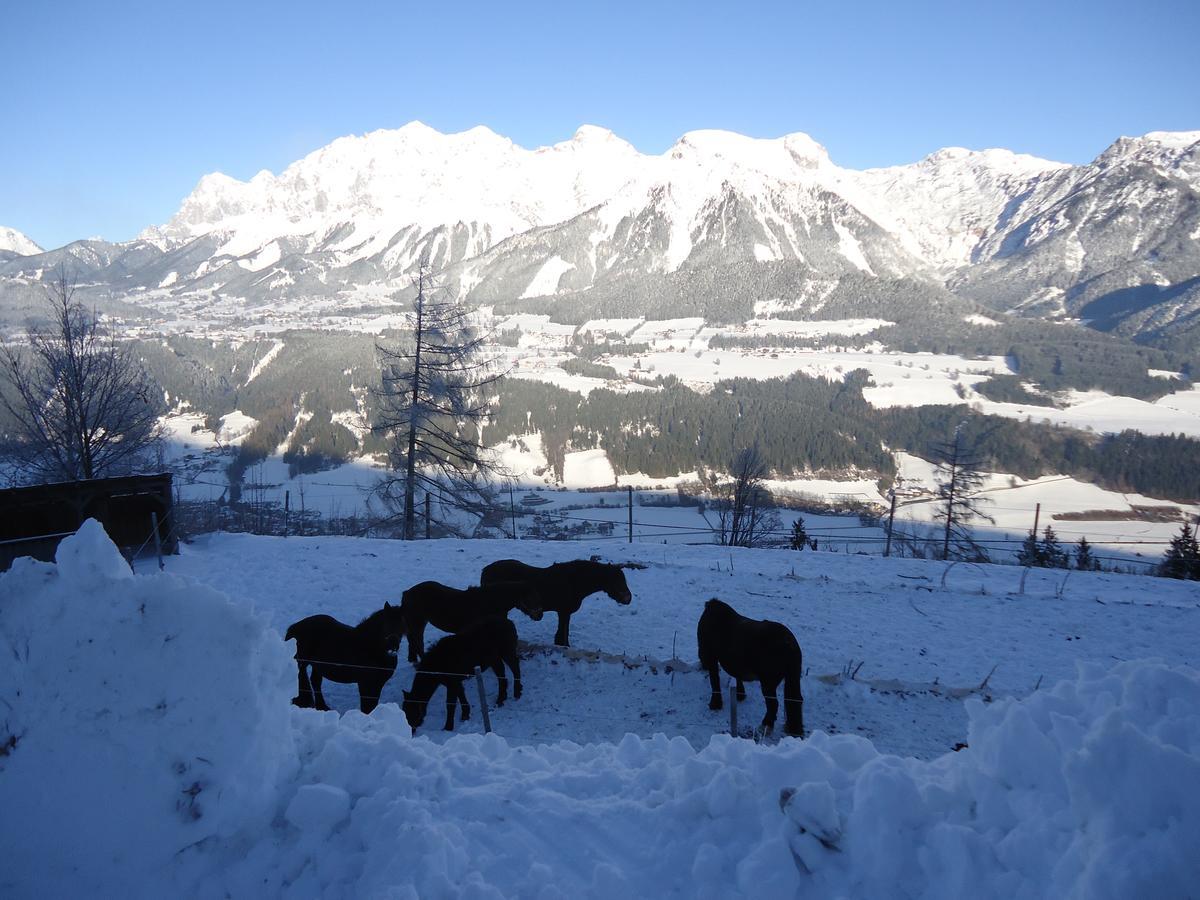 Asingerhof Hotel Schladming Kültér fotó