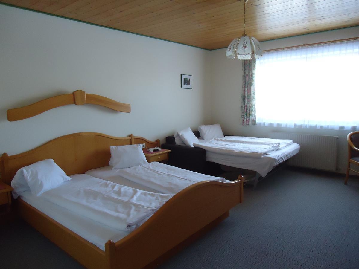 Asingerhof Hotel Schladming Kültér fotó